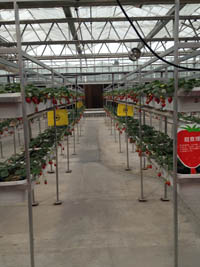 第二屆北京農業嘉年華